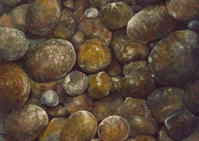 More Rocks