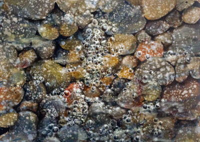 More Bubbles N Rocks